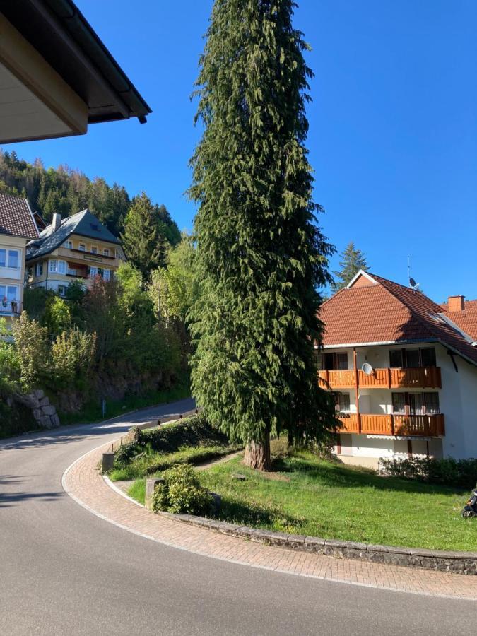 Апартаменты Haus Sonne Тодтмос Экстерьер фото